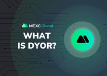 What does DYOR mean, and why every trader should do it first?