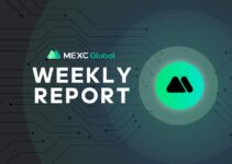MEXC Weekly Report – Key events of December 27 to January 2