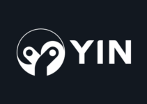 YIN Finance (YIN) – Kickstarter Review