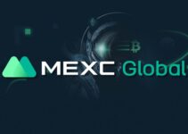 MEXC Asset Listing Research 2021. Part One