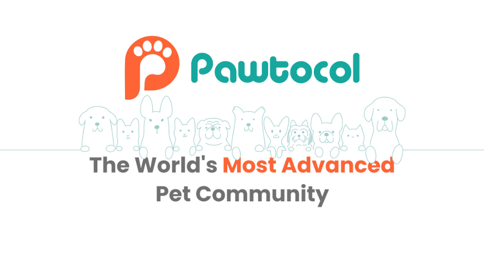 Pawtocol, the World’s Most Advanced Pet Community now at MEXC