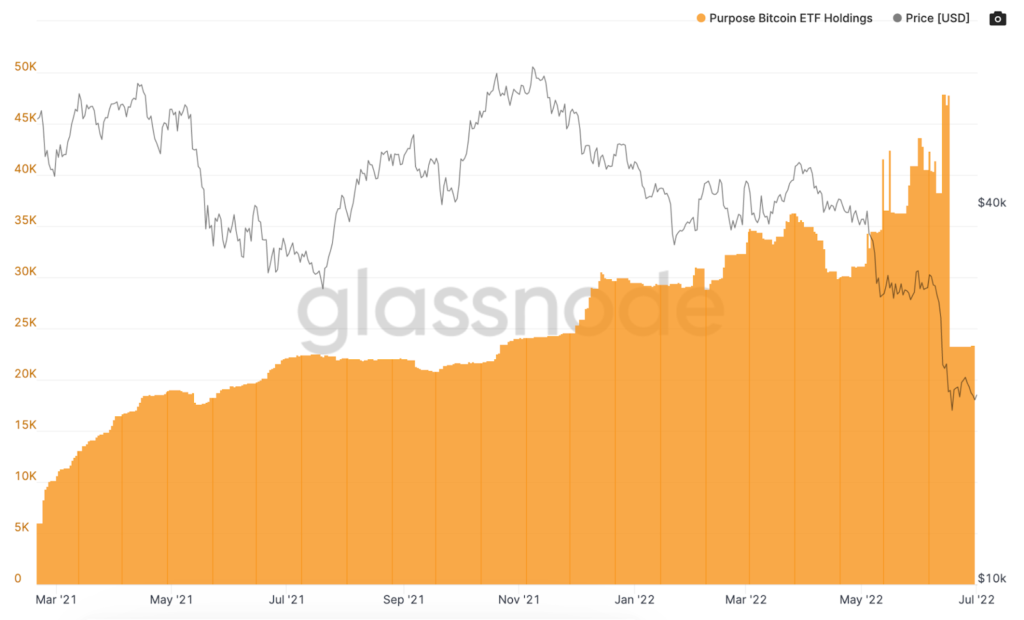 Bitcoin ETF Holdings Data