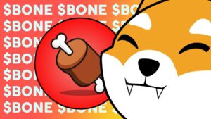 What is ShibaSwap BONE