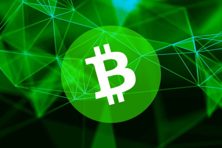 What is Bitcoin Cash (BCH)