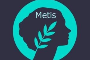 What is Metis Virtual Machine (METIS)