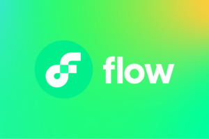 What is Flow (FLOW)