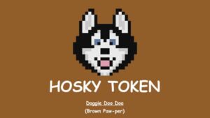 What is Hosky Token