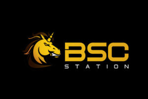 What is BSC Station (BSCS)?