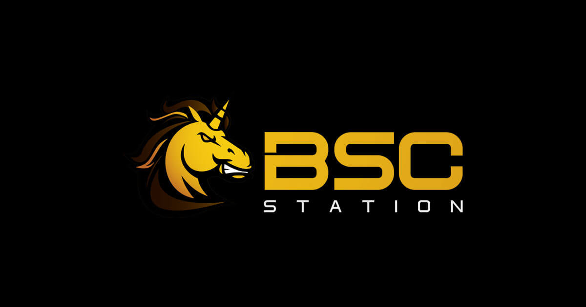 bsc station crypto price