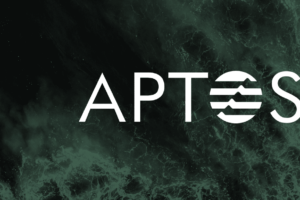 Market investment research analysis of Meta public chain Aptos (APT)￼