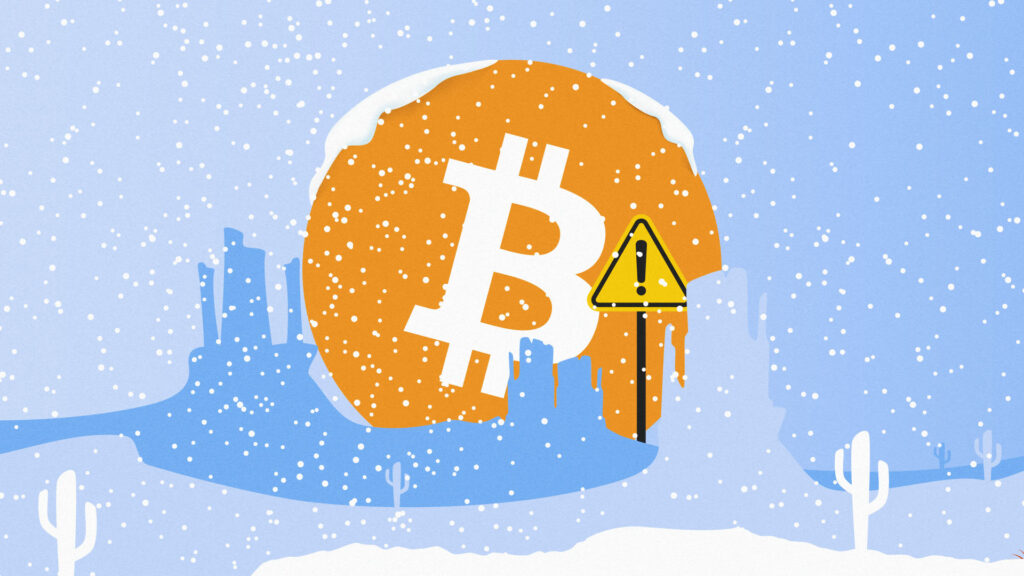 Strategies To Survive During the Crypto Winter