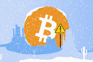 Strategies To Survive During the Crypto Winter