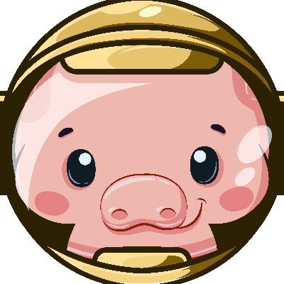 What is Pig Finance (PIG)