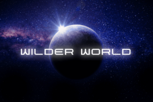 What is Wilder World (WILD)?