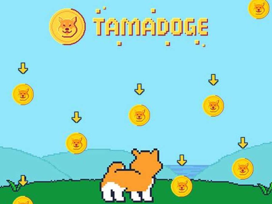 What Is Tamadoge (TAMA)