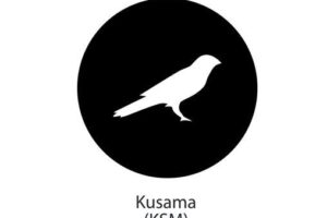 What is Kusama (KSM)?