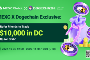 What is Dogechain (DC)