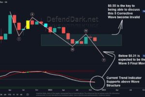 DefendDark: Insights on Ripple (XRP)