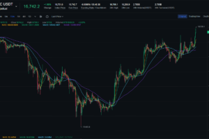 Fed Minutes Boost Crypto Prices