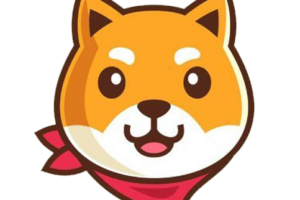 What is AKITA Inu (AKITA)?