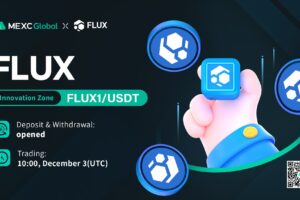 What is Flux (FLUX1)