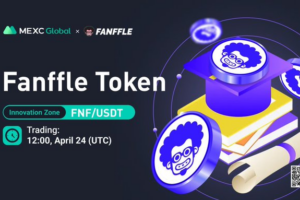 What is Fanffle (FNF)