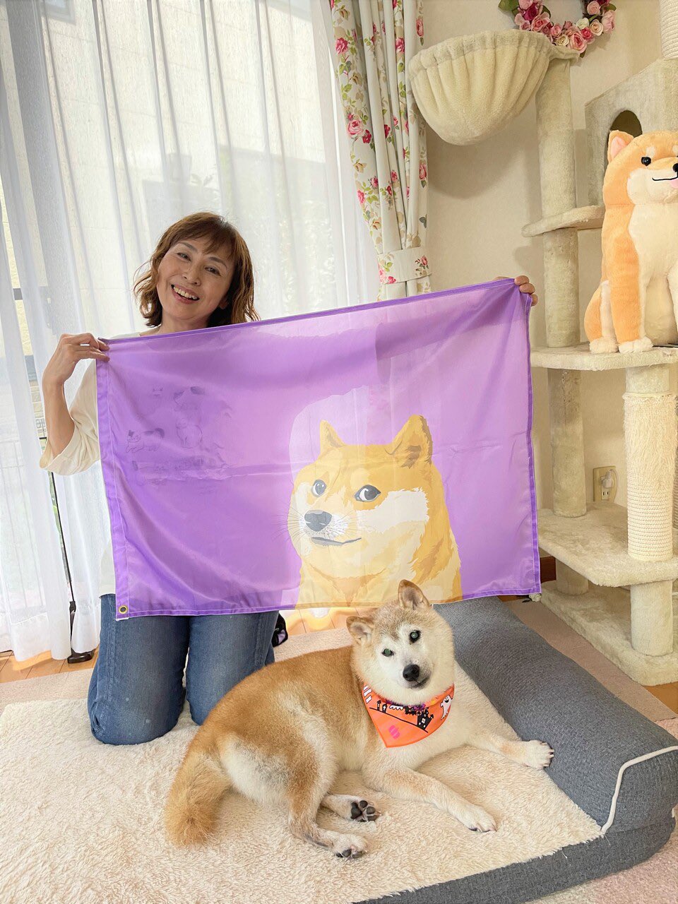 DOGE Coin’s Real-Life Dog Kabosu is Severely Sick
