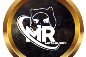 What is MetaRuffy (MR)