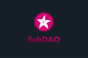 What is SubDAO (GOV)