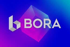 What is BORA 2.0 (BORA)