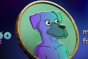 What is DOGGO Coin