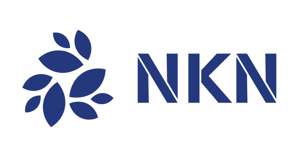 What is NKN Network (NKN)