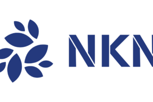 What is NKN Network (NKN)