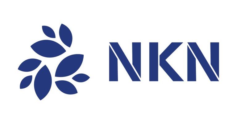 What is NKN Network (NKN)