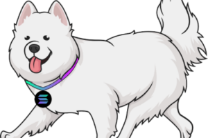 What is Samoyed Coin (SAMO)