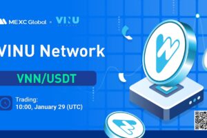 What is VINU Network (VNN)