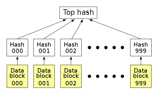 How Merkle Trees Work?