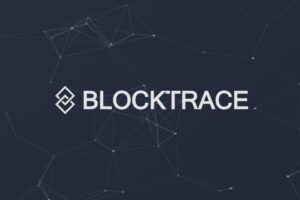 Easy Blockchain Transaction Tracking with AI Chatbot