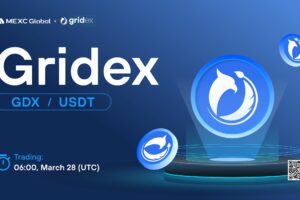 What is Gridex (GDX)