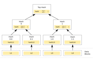 What Is the Role of Merkle Trees in Blockchain Technology?