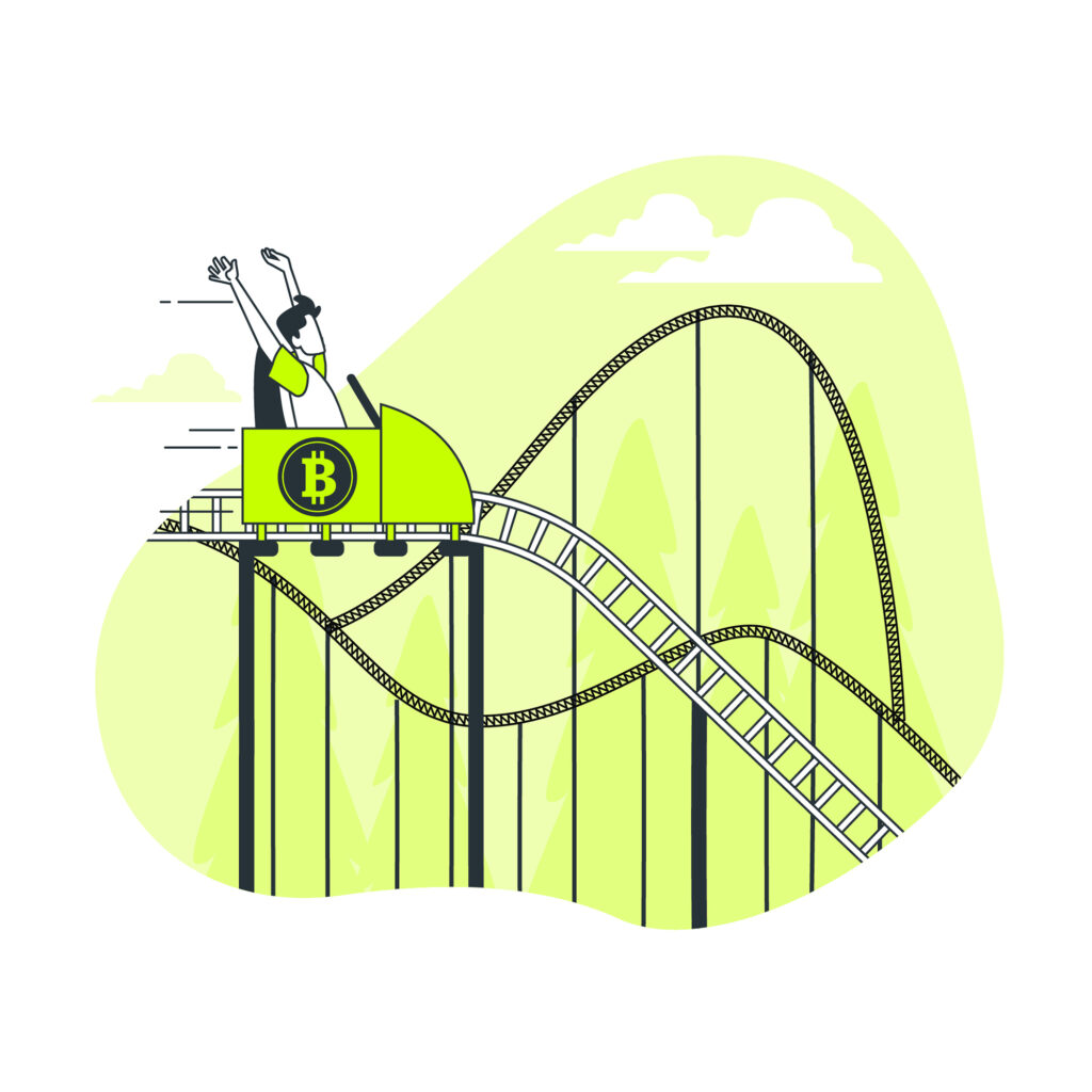 The Rollercoaster Ride of Bitcoin's Value: A Look at the Last 30 Days