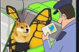 Elon Musk Changes Twitter Icon, Dogecoin Pumps