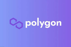 How to Connect MetaMask Wallet With Polygon