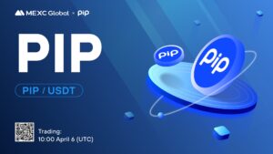 What is Pip Payment (PIP)