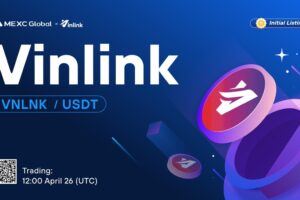 What is Vinlink (VNLNK)