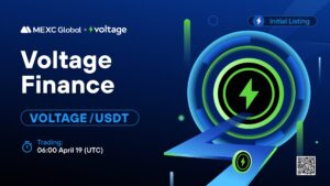 What is Voltage Finance (VOLTAGE)