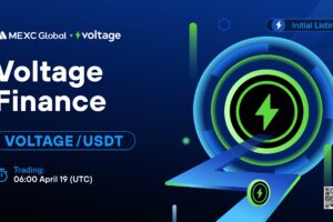 What is Voltage Finance (VOLTAGE)