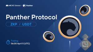 What is Panther Protocol (ZKP)
