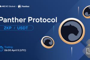 What is Panther Protocol (ZKP)