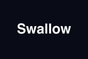 ﻿The Swalo Project: Simplifying Blockchain-Based Services for Users through Intuitive UI/UX